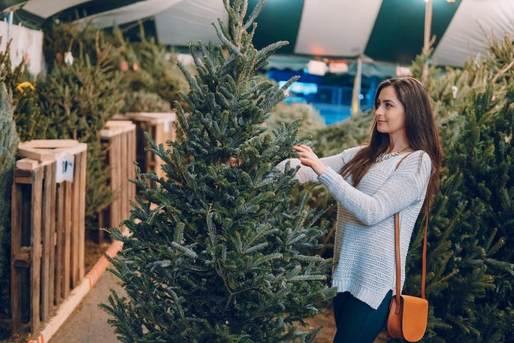 Shopping for a christmas tree