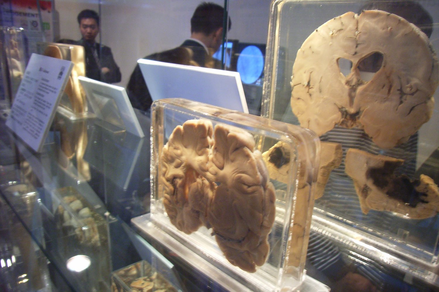 Museum of Medical Sciences, Sheung Wan, Hong Kong