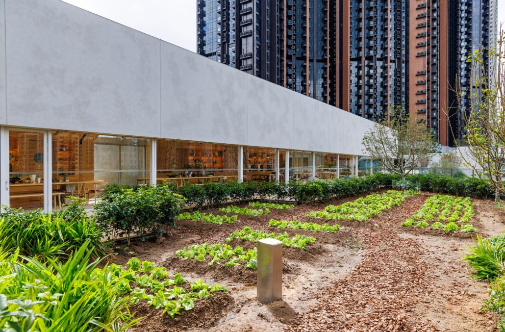 THE PAVILIA FARM